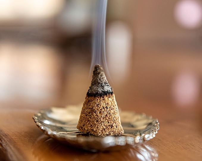 Palo Santo Cones 24 Pack w/Storage Bag, 100% Pure Wood Palo Santo Incense Cones Holy Wood Powder Ground Palo Santo Sticks, Bursera Palo Santo Smudge Cone Incense Bulk Set (Palo Santo Wood Cones - 24) WorldlyFinds