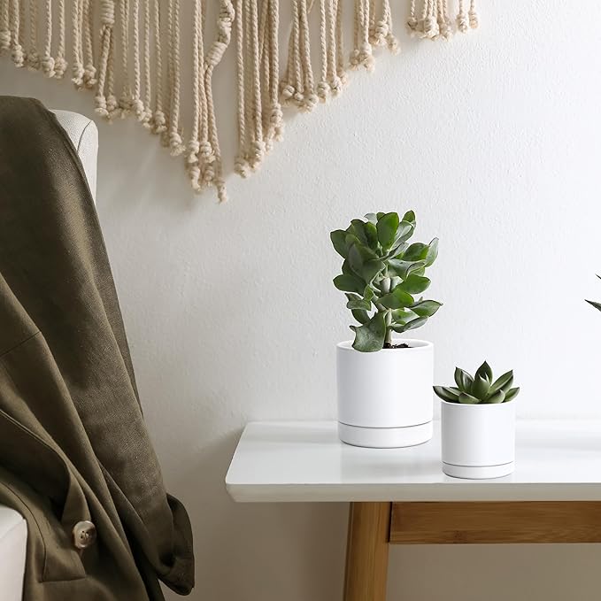 D'vine Dev 3.5 Inch & 4.7 Inch Ceramic Planter Pots for Plants with Drainage Hole and Saucer, X-Small Plant Pots Set, White, 94-G-XS-1 - Bloomnest