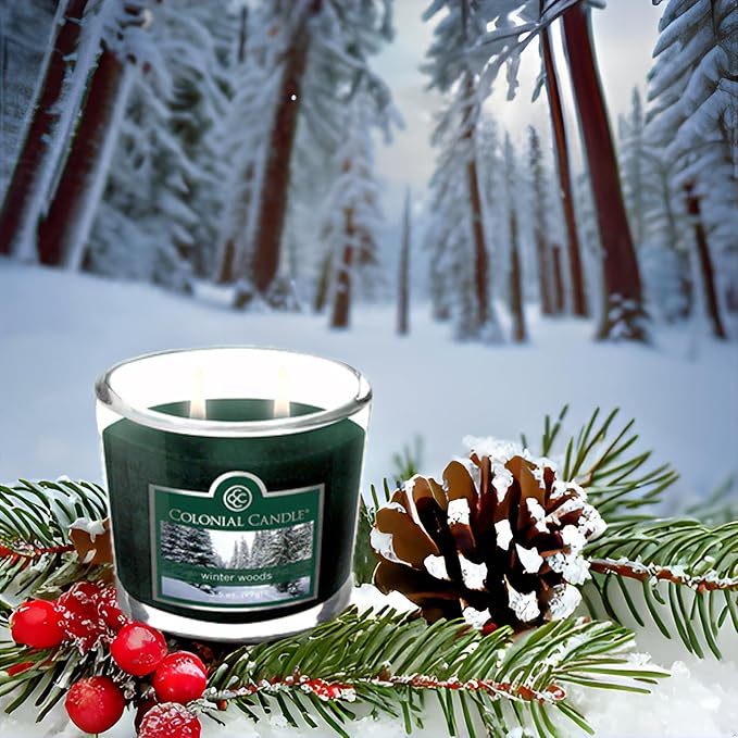 Colonial Candle Winter Woods Scented Jar Candle, 2 Wick, 3.5 oz, Mottled Wax Candle - Bloomnest
