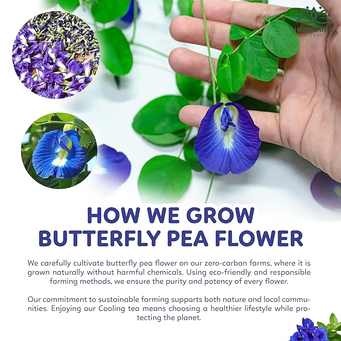 Indochine Blends Cooling Tea | Oolong, Artichoke, Butterfly Pea & Peppermint | Sugar-Free, Caffeine-Free Herbal Tea | Vibrant Blue | Herbal Tea for Relaxation | 4.4 oz | 50 Corn-Fiber Pyramid Bags - Bloomnest