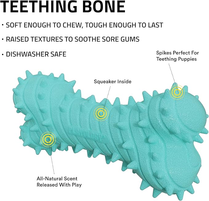 Playology Dog Toys | Puppy Toy Teething Bone Designed for Young & Active Dogs | Jumbo Peanut Butter Scented Toy Made from Non Toxic Materials - Bloomnest