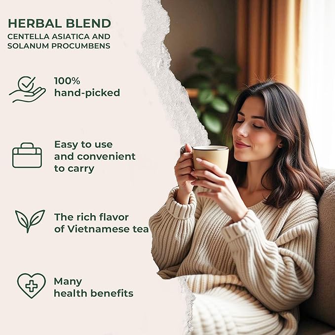 NMPT Dried Centella Asiatica Solanum Procumbens Tea, Handpicked and Handmade, 40 Sachets, Cold-Dried, Gluten-Free, No Added Sugar, Mild Sweet Flavor, Supports Overall Health - Bloomnest
