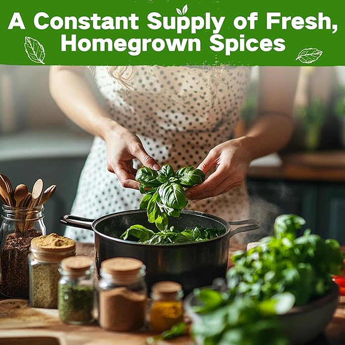 Lush&Dew Culinary Herbs Kitchen Garden Heirloom Seed Bank, Gardening Gifts, 16 Varieties Non-GMO Seeds for Planting Herb in Raised Garden Beds Windowsill, Survival Seed Kit, Cooking Spices Basil Dill - Bloomnest