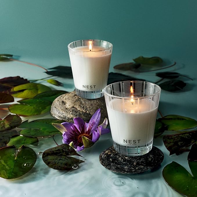 NEST New York Scented Classic Candle, Forest Rain - 8.1 oz - Up to 60-Hour Burn Time - Reusable Glass Vessel - Bloomnest