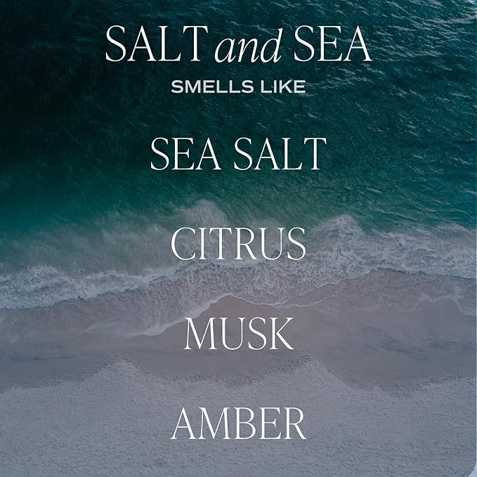 Sweet Water Decor Salt and Sea Reed Diffuser – Room Decor Aesthetic with Long-Lasting Premium Fragrance of Sea Salt, Citrus, Musk, and Amber for 4 Months – Ideal for Home Decor - Bloomnest