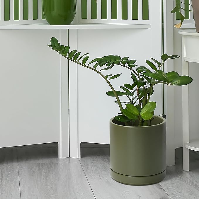 D'vine Dev Set of 2 Plants Pots, 8.2 Inch Ceramic Planter Pot for Plants with Drainage Hole and Saucer, Olive, 94-V-D-J - Bloomnest