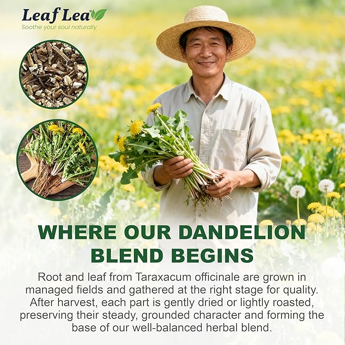 LeafLea Dandelion Root and Leaf Tea Bags, 40 Count, Roasted Dandelion Root Tea Blend, Natural Herbal Tea for Digestion & Wellness, Te de Diente de Leon, Individually Wrapped, Caffeine-Free, No Sugar - Bloomnest