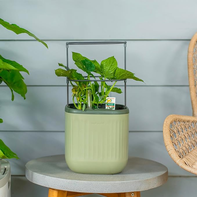 Vego garden Mini Planter Indoor Pots with Trellis Self-Watering Herb Countertop Planter for Climbing Vegetables Flowers Mint Plants Cage- Sage Green - Bloomnest