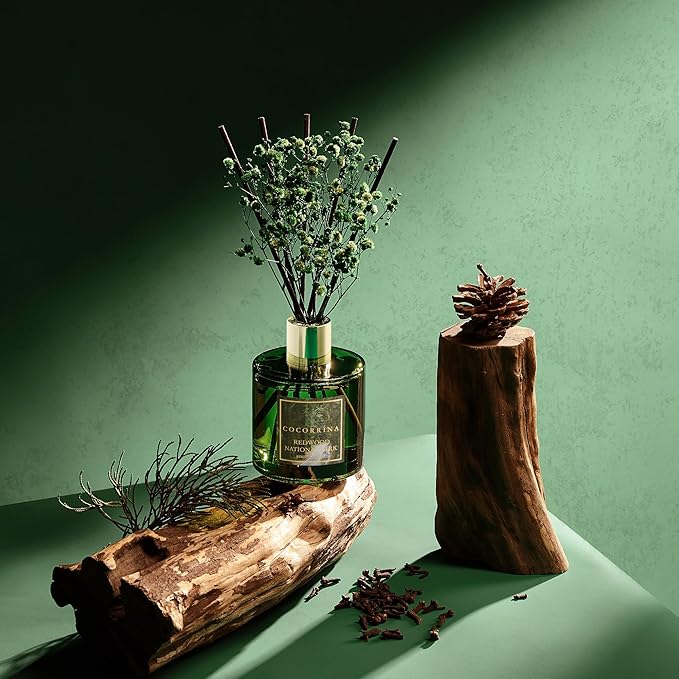 COCORRÍNA Reed Diffuser - Redwood National Park 6.7 Fl.oz Reed Diffuser Set with 8 Sticks & Preserved Baby's Breath, Reed Diffuser for Home Bathroom Shelf Decor - Bloomnest