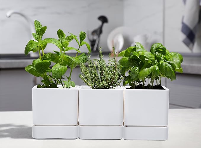 4 Inch Herb Planter Pot, Plastic Planter with Drainage Holes and Saucer, Modern Decorative Gardening Pot for Indoor Plants, Flowers, Herbs, Succulents, White, Set of 3, 76-Y-A-3 - Bloomnest