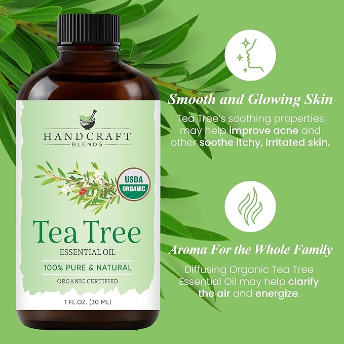 Handcraft Blends Organic Tea Tree Essential Oil – 1 Fl Oz – 100% Pure and Natural – Premium Grade Essential Oil for Diffuser and Aromatherapy HandcraftBlends