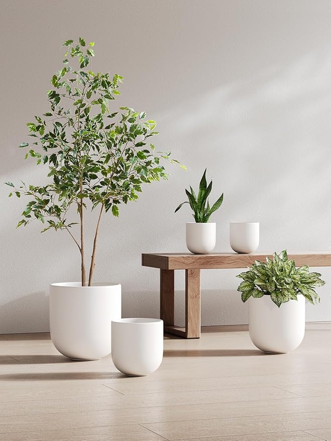 LE TAUCI 6 Inch Plant Pot, Ceramic Pot with Drainage Hole & Rubber Plug, Indoor Planter for Herbs & Small Houseplants, Cylinder Planter for Home Office, White - Bloomnest
