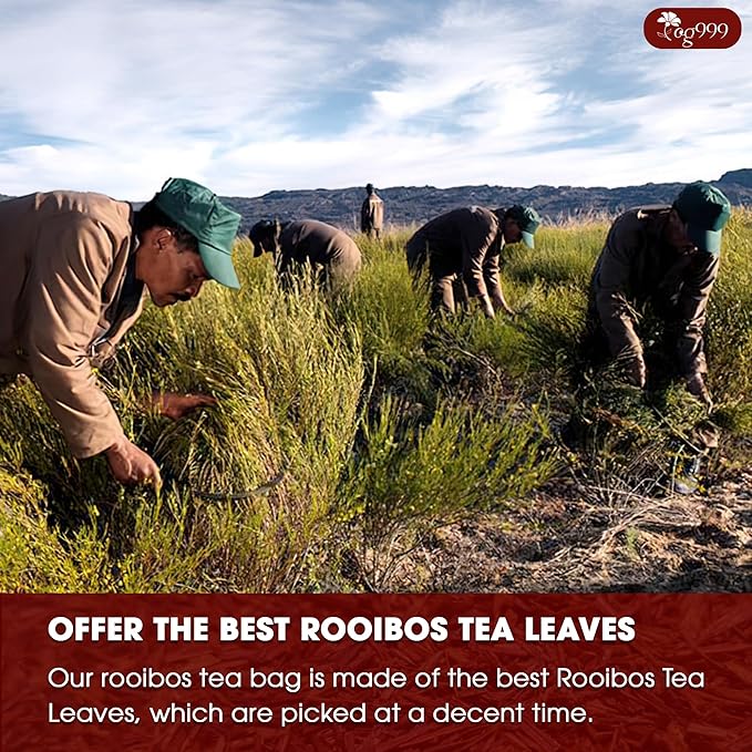 TOG999, Premium 60 Red Rooibos Tea Bags, 100% Natural & Pure from Rooibos Tea Leaves. Loose Leaf Rooibos Herbal Tea. Made with Natural Material Tea Bags. No Sugar, No Caffeine, No Gluten, Vegan. - Bloomnest