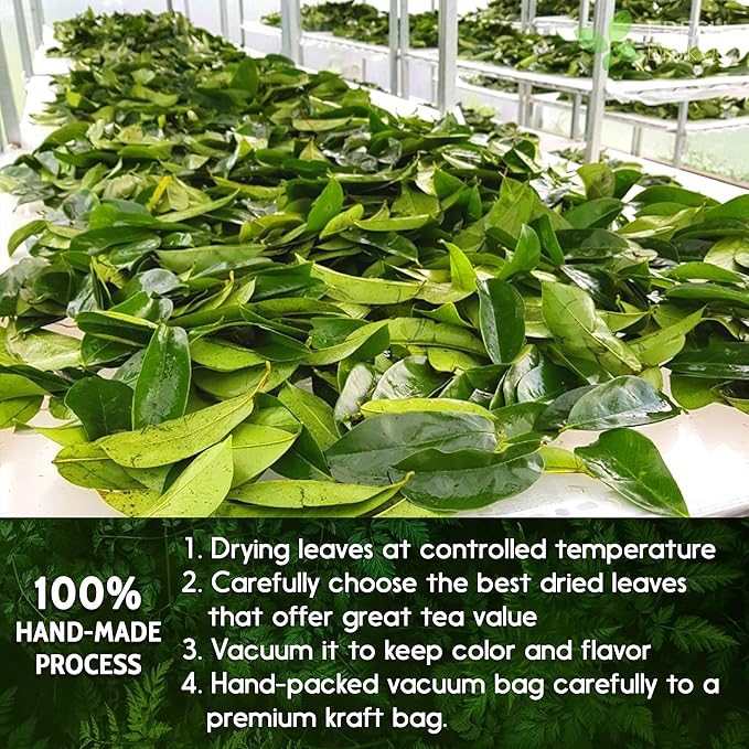 FreshDrinkUS, Premium 30+ Soursop Graviola Dried Leaves, Natural Whole Soursop Leaves, Wildcrafted, Hoja Guanabana, Loose Leaf Herbal Tea, No Gluten, Vegan - Bloomnest