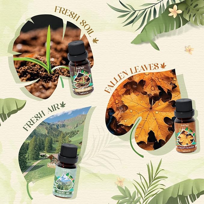 Woodland Fragrance Oils Set, Essential Oil Gift Set for Diffuser, Woody Scent Diffuser Oil, Diffuser Scents Oil for Home - Forest Pine, Teak, Bamboo, Fresh Soil, Fallen Leaves, Fresh Air - Bloomnest