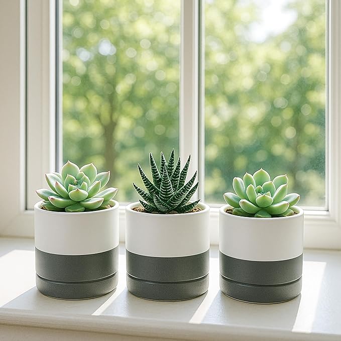 D'vine Dev Set of 4 Small Ceramic Plant Pots, 3.5 Inch Succulent Planter Pot for Plants with Drainage Hole and Saucer, White/Speckled Grey, 94-X-A-6 - Bloomnest