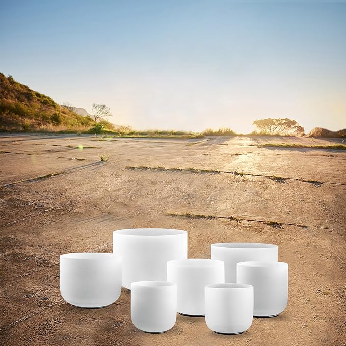 Ryan Dvan 432Hz 7-12 Inch 7 Chakra Crystal Singing Bowl Set Frosted Quartz Crystal Sound Therapy Kit with Suede Mallets 2 Travel Cases O-Ring Tool for Yoga Meditation Energy Balancing Reiki Healing - Bloomnest