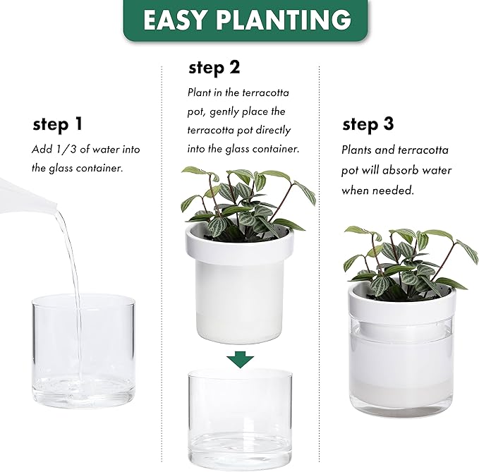 Phoenix Vine 4 Inch Self Watering Planter, White Terracotta Clay Pot with Glass Reservoir for Indoor Plants, Herbs, Flowers, Set of 4, 52-B-E-4 - Bloomnest