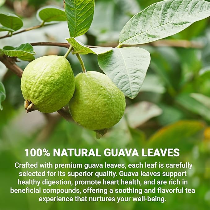 LeafLea 120 Guava Leaf Tea Bags, Premium Natural Herbal Tea, 100% Hojas De Guayaba, Caffeine-Free, Non-GMO, Supports Digestion & Immune Health, Packed with Natural Goodness - Bloomnest