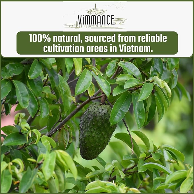 VIMMANCE Soursop Tea Bags, Graviola, Guanabana Tea, Vietnamese Herbal Tea, 100% Natural, Gluten Free, Caffein Free, Sugar Free, Not Bitter but Balance Taste (50 Tea Bags) - Bloomnest