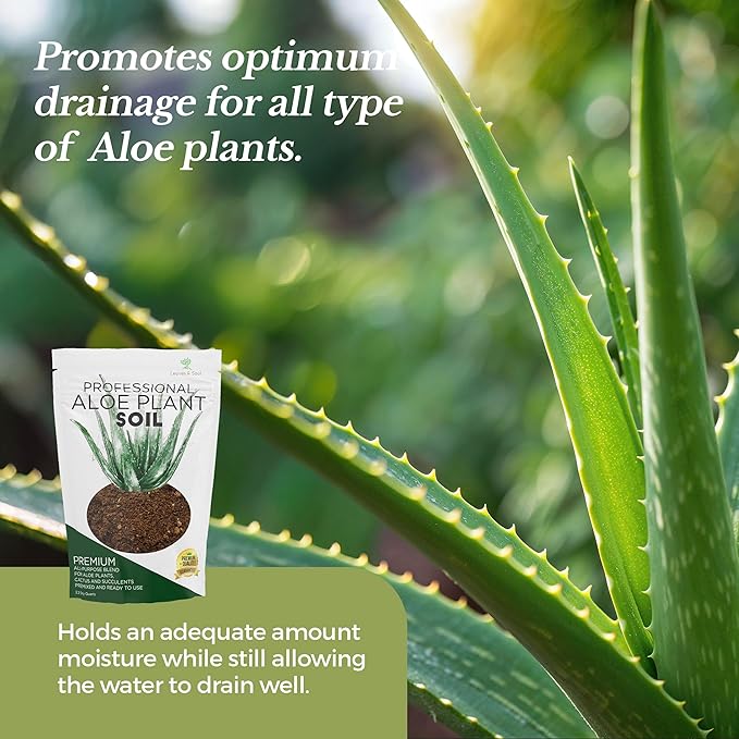 Professional Aloe Plant Soil | Premium All Purpose Blend | Large 2.2 Quarts | Ready to Use for Aloe, Cactus, Succulent Plants | Pinebark, Peat, Course Sand | Made in USA - Bloomnest