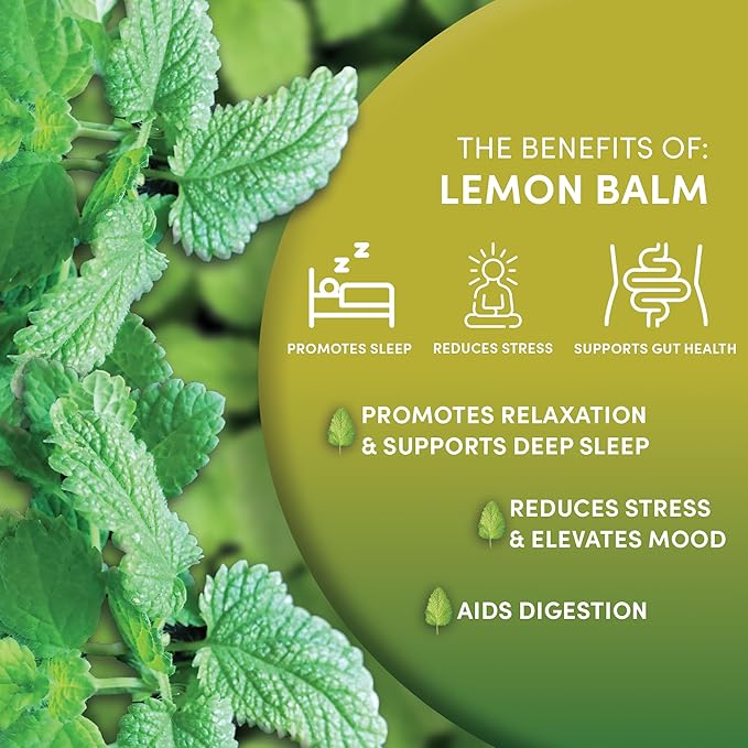 Worldwide Botanicals Organic Lemon Balm Tea, 1Lb - Loose Leaf Premium Herbal Tea | 100% Pure Lemon Balm Leaves | For Stress Relief and Good Digestion | Kosher - Bloomnest