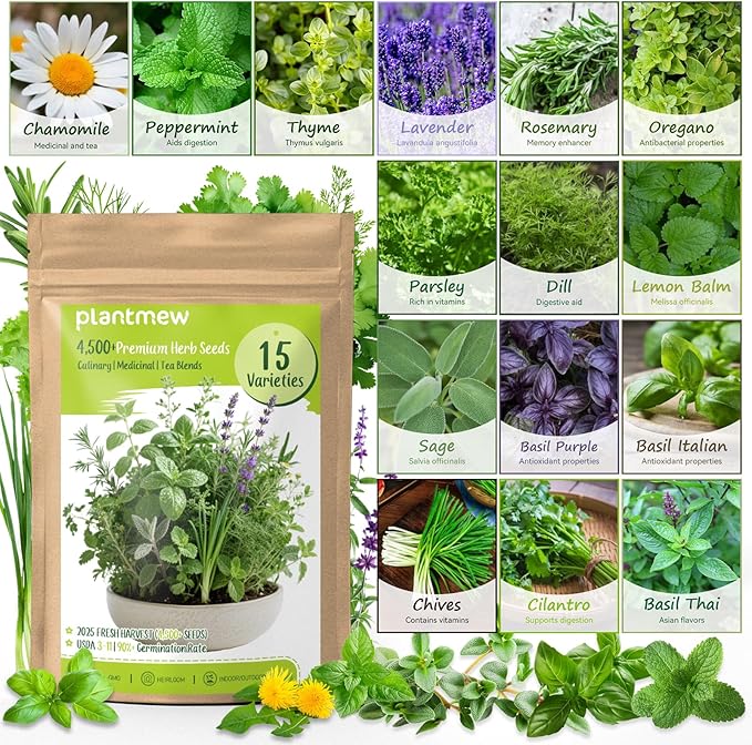Herb Seeds 15-Pack – 4,500+ Non-GMO Heirloom Seeds for Planting – Indoor & Outdoor Herb Garden Kit with Basil, Cilantro, Rosemary, Thyme, Dill, Sage – Medicinal & Culinary Herb Seeds Variety Pack - Bloomnest