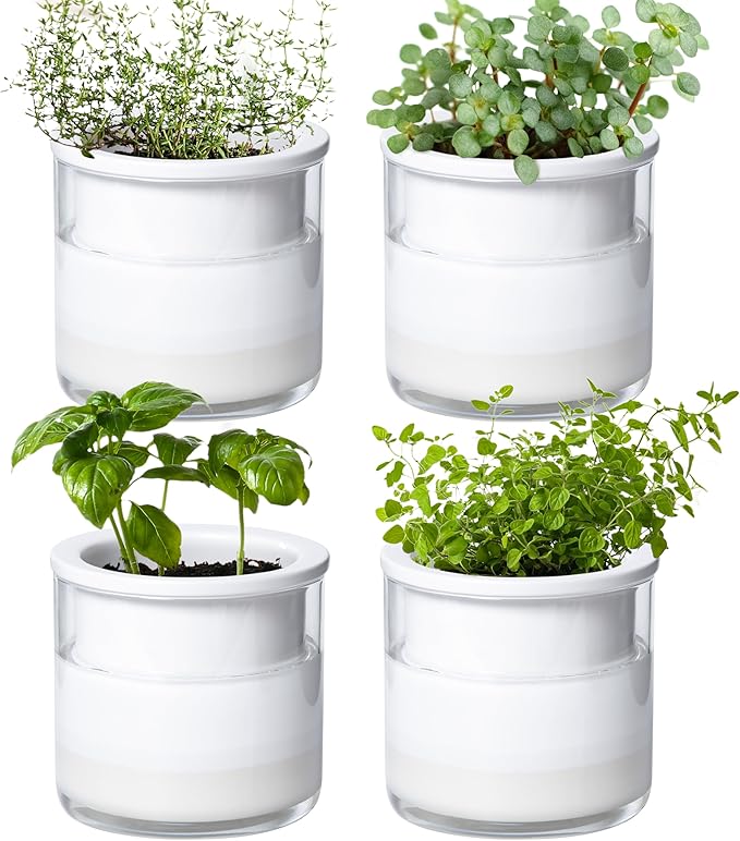 Phoenix Vine 4 Inch Self Watering Planter Pot, Design White Terracotta Pots for Plants, Indoor Cylinder Terra Cotta Pots with Glass Vase, Set of 4, 51-B-E-4 - Bloomnest