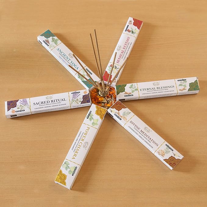 Raajsee Natural Incense Sticks,6 Pack Mixed Scents Gift Pack 15 gm Each (90 gm Total), Insense Sticks Variety Pack, 100% Organic Non Toxic Natural - Hand Rolled Free from Chemicals RAAJSEE