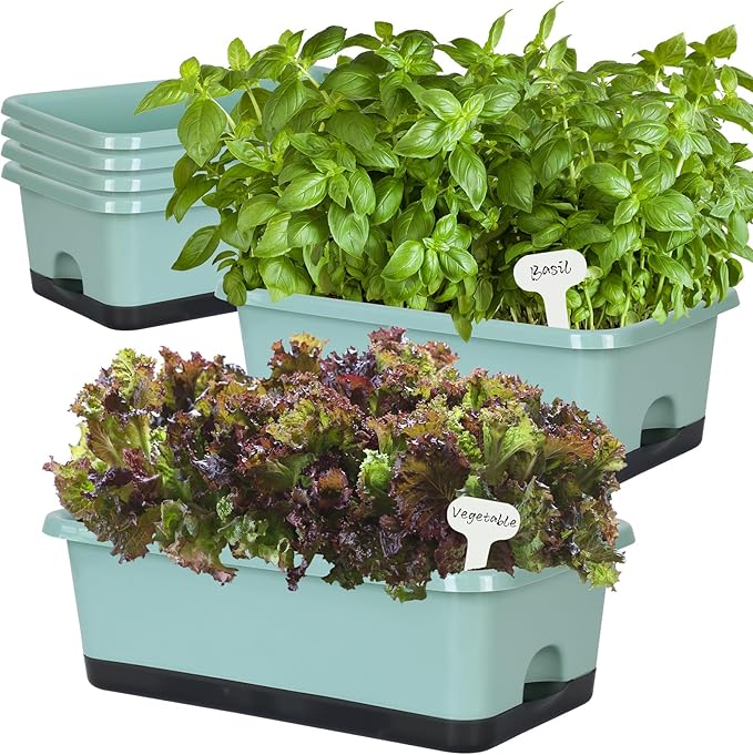 Window Box Planter 6 Pcs, 18 Inches Rectangle Flower Pots with Drainage Holes and Trays, Vegetable Planters for Windowsill Patio Garden Balcony Home Porch Yard Indoor Outdoor (Green, 18*10*6 inch) - Bloomnest