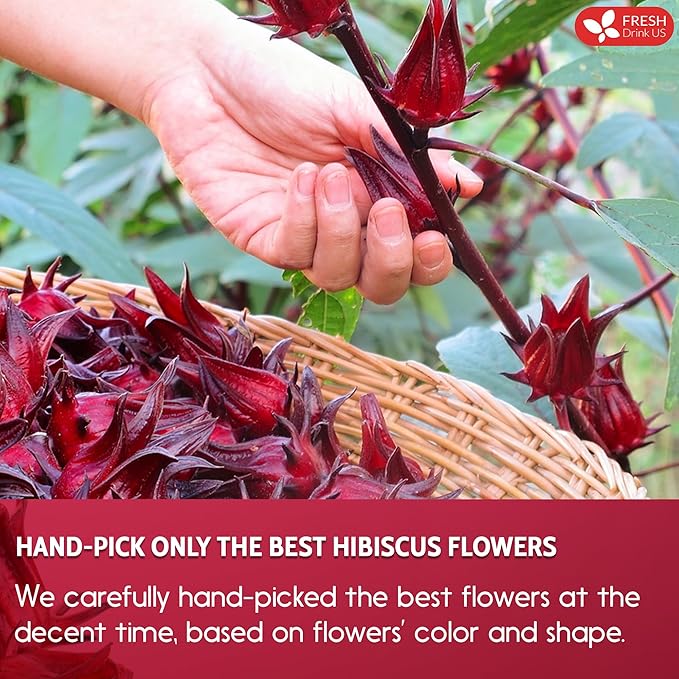 FreshDrinkUS, Premium 60 Hibiscus Flowers Tea Bags, 100% Natural & Pure, Loose Flower Herbal Tea. No Sugar, No Caffeine, No Gluten, Vegan. Great To Drink Hot Or Ice Tea - Bloomnest