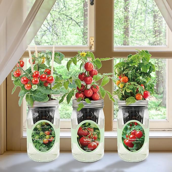 Hydroponic Mason Jar Indoor Garden Organic Seed Starter Kits - Tomato Trio Garden Growing Kits, Gardening Gift (Red Robin Tomato, Cherry Tomato - Tiny Tim, Sweetie Cherry Tomato)