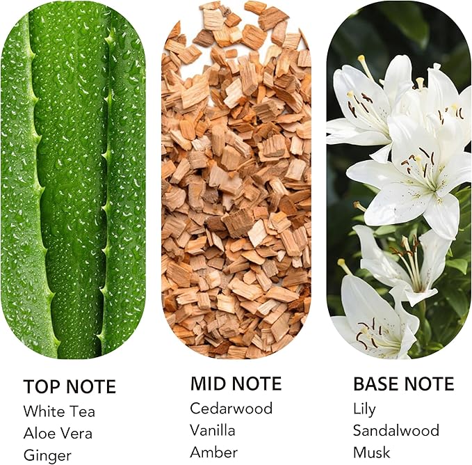 Luxury Hotel Scent Dream On Diffuser Oil Waterless Essential Aromatherapy for Cold Air & Car Diffusers – Long Lasting Refill for Large Room & Home - Signature White Tea (500ml/16.9Fl oz) - Bloomnest