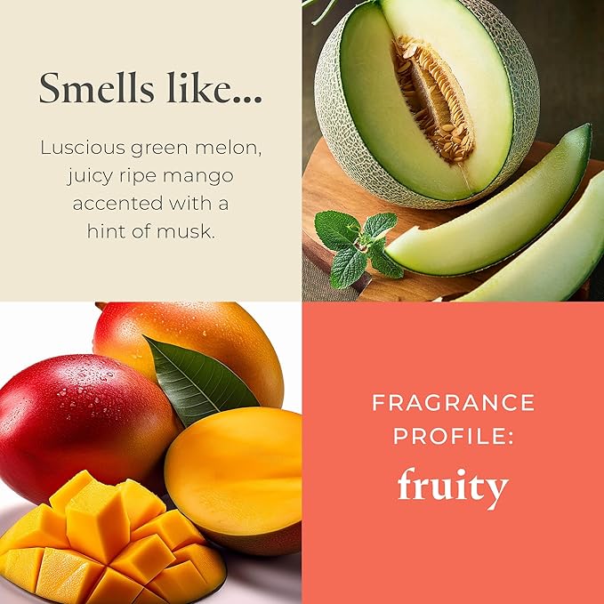 PartyLite Tea Lights Candles, Sweet Ripe Melon Scent, Gift Set of 12, Aromatherapy with up to 4 to 6 Hours Burn Time, Ideal for Home Decor, Holiday Gifting & Celebration - Bloomnest
