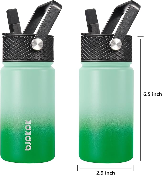 BJPKPK Water Bottle with Straw Lid, 15 oz Insulated Water Bottle, Stainless Steel Metal Water Bottles, Reusable Leak Proof BPA Free Thermo, Flask, Cups, Meadow - Bloomnest