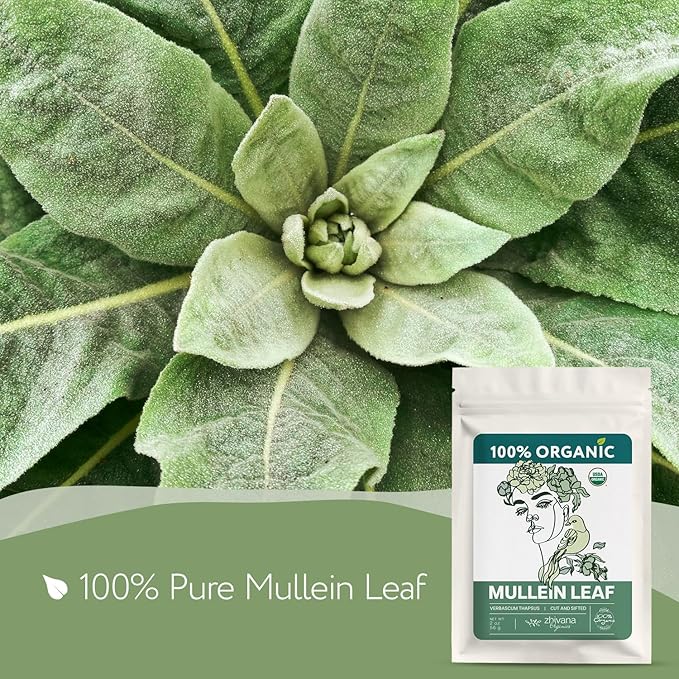 Organic Mullein Leaf Tea (2oz.) - Loose Leaf Dried Mullien Leaves - Gordolobo Tea Organica - Wild Harvested - Herbal Tea for Lungs & Respiratory Health - Bloomnest