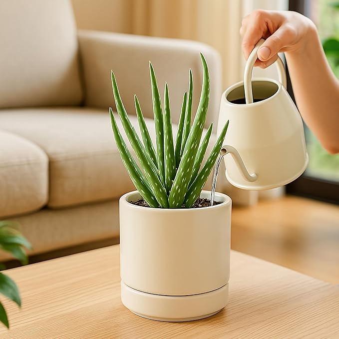 D'vine Dev Set of 2 Plants Pots, 4.7 Inch Ceramic Planter Pot for Plants with Drainage Hole and Saucer, Oatmeal, 94-V-B-8 - Bloomnest