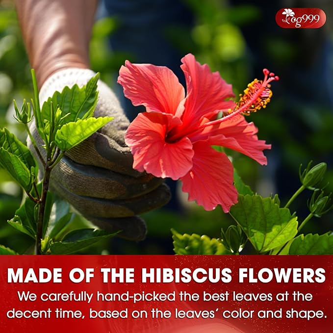 TOG999, Premium Hibiscus Flowers 16oz | Dried Petals | Naturally Caffeine-Free Herbal Tea | Vibrant Color & Tart Floral Flavor | Non-GMO, Gluten-Free, Vegan | Perfect for Tea, Beverages, and Crafts - Bloomnest