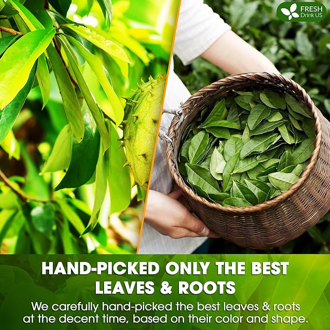 FreshDrinkUS, Premium 75 Tea Bags Soursop Green Tea, 100% Natural & Proprietary Blend from Soursop Leaves and Green Tea. Smooth Flavor. Made with Eco-Conscious Tea Bags. No Additives No Sugar, Vegan. - Bloomnest