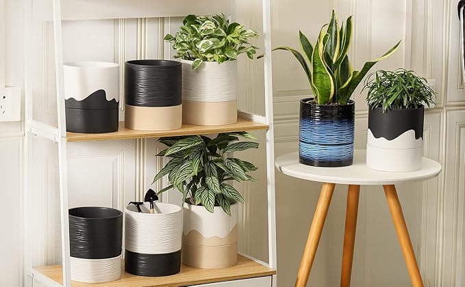 Nihow Self Watering Plant Pot: 6 Inch Ceramic Planter with Drainage Hole & Water Storage Plus for Indoor & Outdoor Plants - Cylinder Round Flower Pot for Succulent/Herbs/Violets - White & Brown - Bloomnest