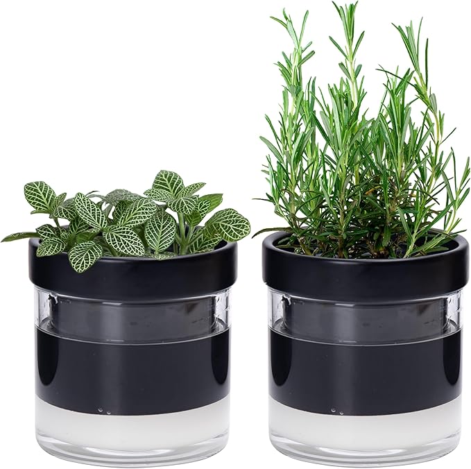Phoenix Vine 4 Inch Self Watering Planter Pot, Black Terracotta Clay Pot with Glass Reservoir for Indoor Plants, Herbs, Flowers, Set of 2, 52-C-E-2 - Bloomnest