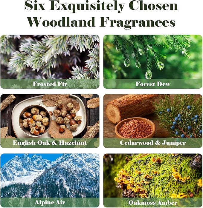 AmaKane Woodland Fragrance Oil, Forest Diffuser Oil Scents, Candle Scents for Candle Making, Soap Making Scents, Frosted Fir, Cedarwood&Juniper, Oakmoss Amber and More Essential Oils 6x10ml - Bloomnest