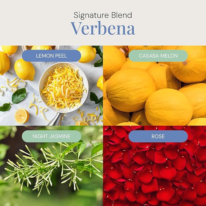Verbena Aroma Oil, Essential Oils Blend for Diffusers & Scent Machines, Citrus, Floral, and Green Fragrance, Aromatherapy, Cold Air Diffuser Compatible, 300 mL - Bloomnest