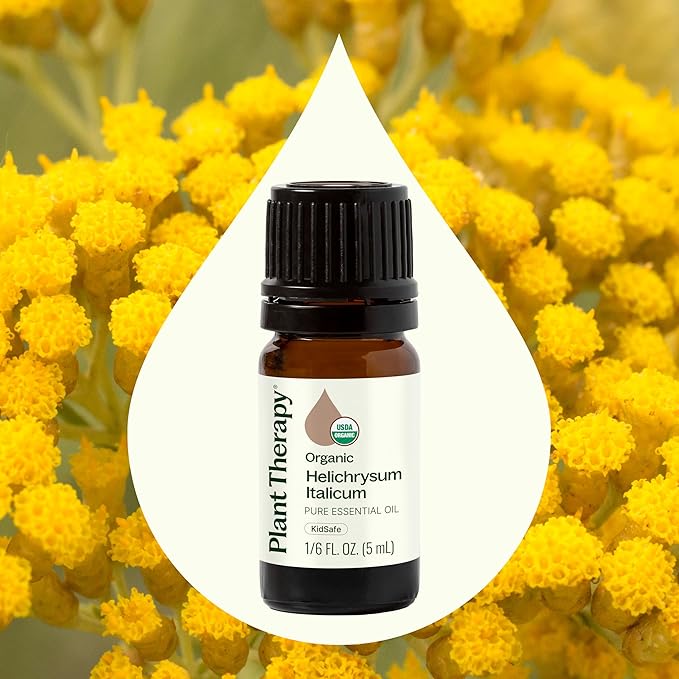Plant Therapy Organic Helichrysum Italicum Essential Oil 100% Pure, USDA Certified Organic, Undiluted, Natural Aromatherapy, Therapeutic Grade 5 mL (1/6 oz) - Bloomnest
