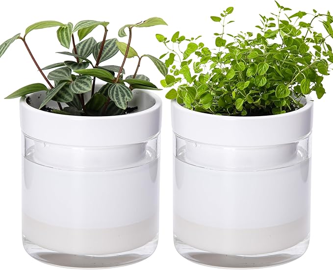 Phoenix Vine 4 Inch Self Watering Planter, White Terracotta Clay Pot with Glass Reservoir for Indoor Plants, Herbs, Flowers, Set of 2, 52-B-E-2 - Bloomnest