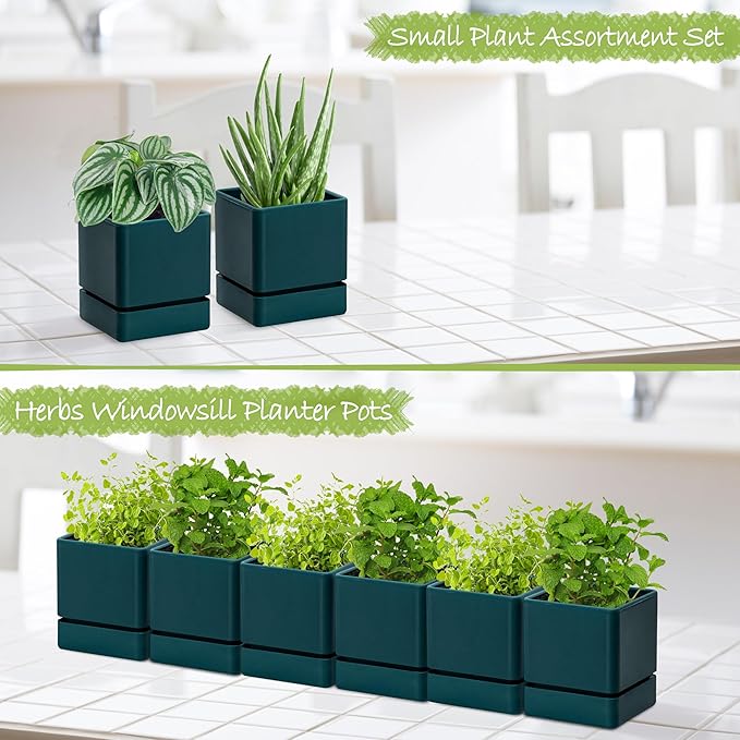 4 Inch Herb Planter Pot, Plastic Planter with Drainage Holes and Saucer, Modern Decorative Gardening Pot for Indoor Plants, Flowers, Herbs, Succulents, Green, Set of 6, 76-Y-C-6 - Bloomnest