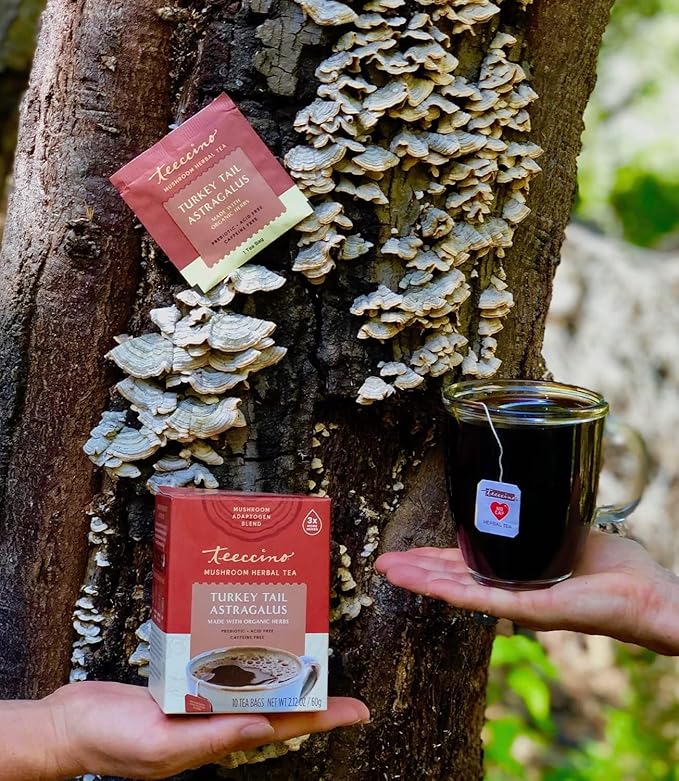 Teeccino Mushroom Herbal Tea - Turkey Tail Astragalus Toasted Maple - Caffeine Free, Prebiotic, 3x More Herbs - 25 Tea Bags, Pack of 3 - Bloomnest
