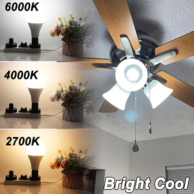 E12 100W Equivalent LED Candelabra Bulbs, E12 A19 A60 LED Ceiling Fixtures Light Bulbs 6000K Daylight White,Bright Small Candelabra Screw Base Globe Shape Chandelier Bulbs 10W 1200lm,Non Dimmable,3Pcs - Bloomnest