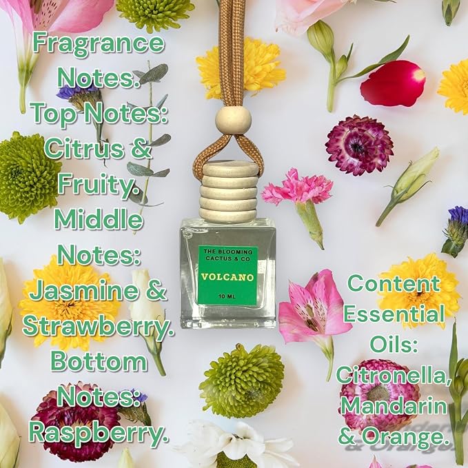 Car Air Freshener Hanging, Essential Oil Diffuser for Cars 1 OZ, Cute Car Accessories, C ar Air Freshener Refill, Long-Lasting Fragrance Refill, Car Diffuser Refill Made in USA | Volcano - Bloomnest