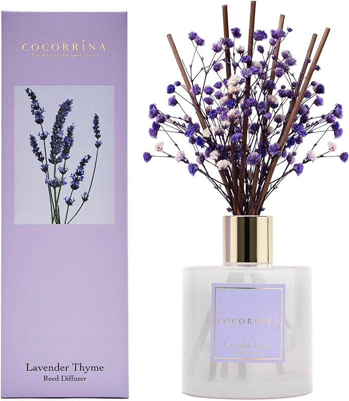 Cocorrína Premium Reed Diffuser Set with Preserved Baby's Breath & Cotton Stick Lavender Thyme | 6.76 Fl.oz Scent Diffuser for Bedroom Bathroom Home Décor - Bloomnest